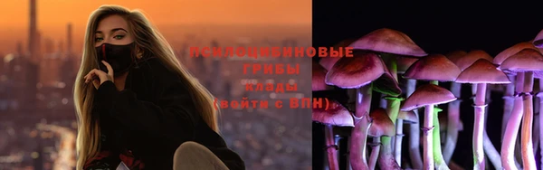 apvp Алзамай