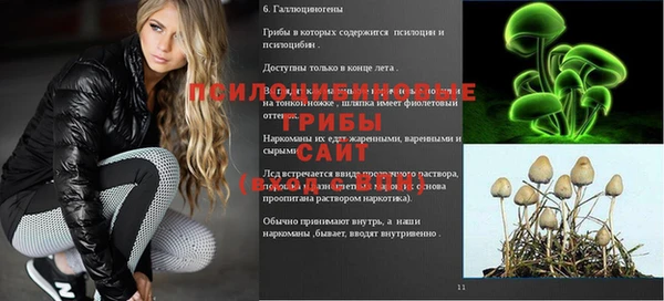 apvp Алзамай