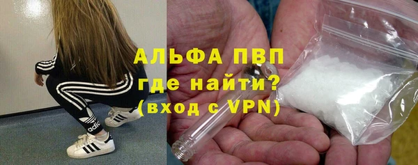 apvp Алзамай