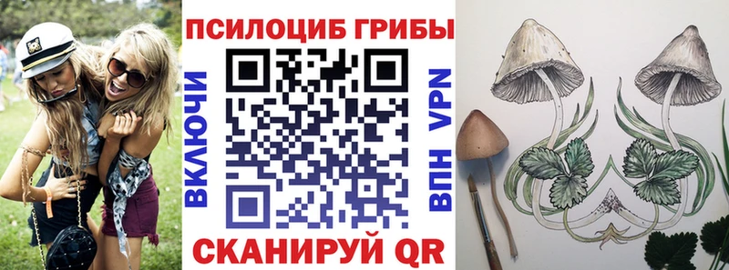Псилоцибиновые грибы Cubensis  наркота  Ипатово 